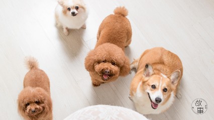 苹果手机如何下载okpay