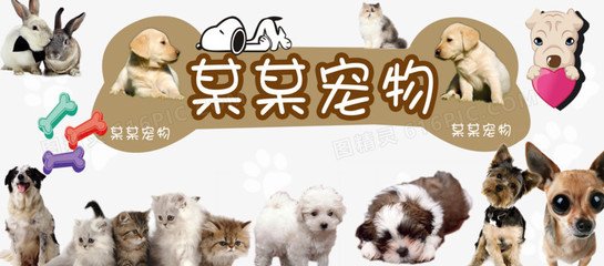 香港u币交易所