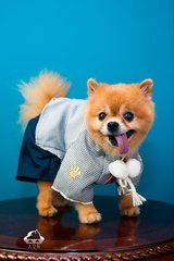 OP钱包官网