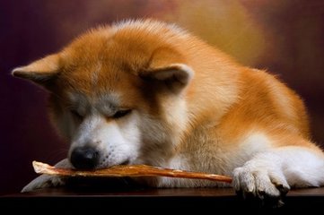 tokenpocket下载