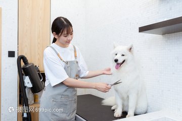 钱包手机app官网tp钱包下载钱包