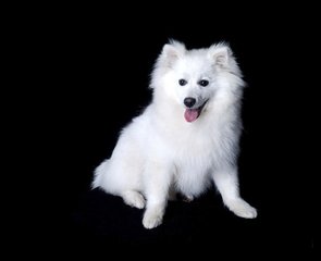 下载token成功