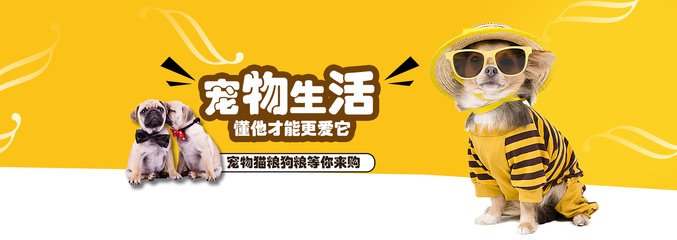 TP钱包官方网址