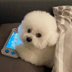imtoken2.0钱包下载
