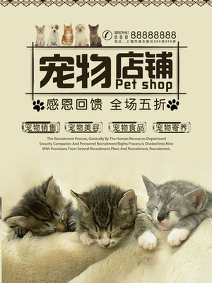 pc钱包下载钱包